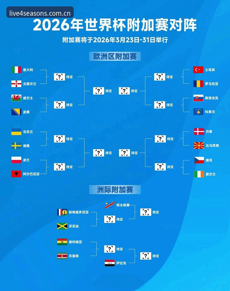 世界杯观赛困境详解：地缘政治与签证政策如何影响球迷出行