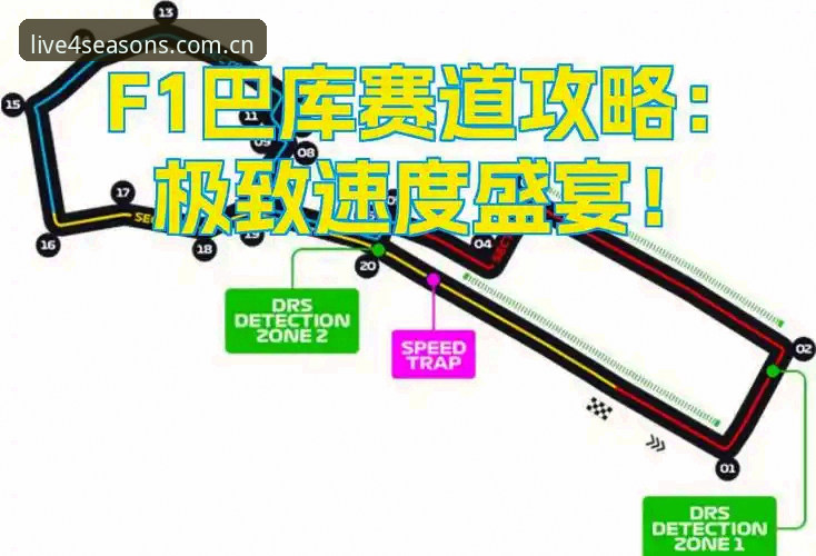 四季体育苹果版使用技巧 四季体育苹果版使用技巧完整指南:从安装到极致观赛体验